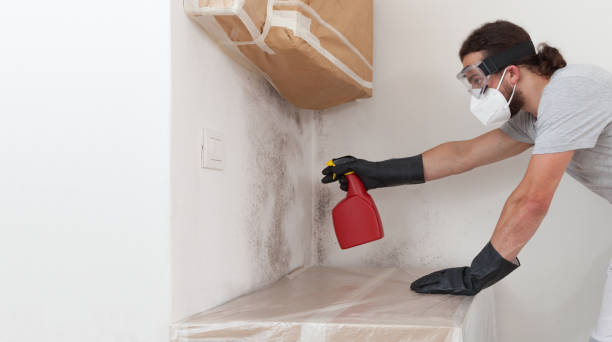 Professional Black Mold Remediation technician working in Old Bethpage, NY