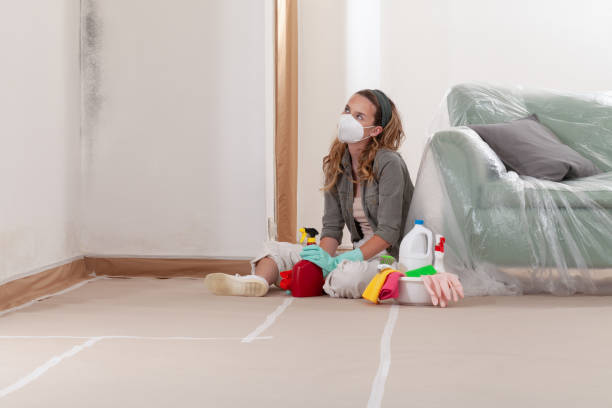 Reliable Black Mold Remediation contractor in Old Bethpage, NY by 24 Hour Mold Removal